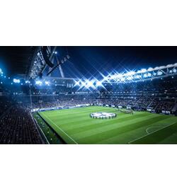 FIFA 19