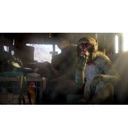 Far Cry 4