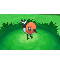 Pokémon: X