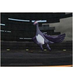 Pokémon XD: Gale Of Darkness