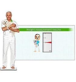 Wii Fit Plus