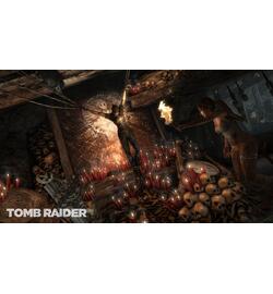 Tomb Raider (2013)