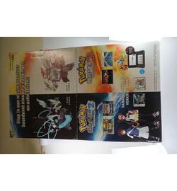 Pokemon Black and White Display