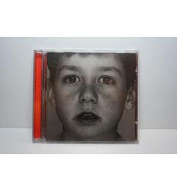 Bad Religion: The Gray Race