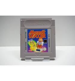 Magnetic Soccer NOE