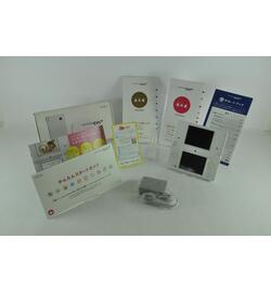 Nintendo DSi White Console Boxed JPN
