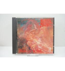 Morbid Angel: Blessed Are The Sick