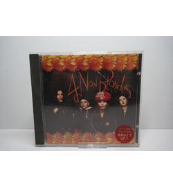 4 Non Blondes: Bigger, Better, Faster, More!