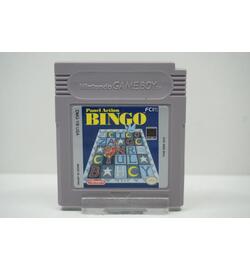 Panel Action Bingo USA