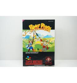 Power Piggs of the Dark Age EUR Manual