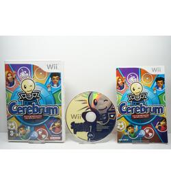 Cerebrum