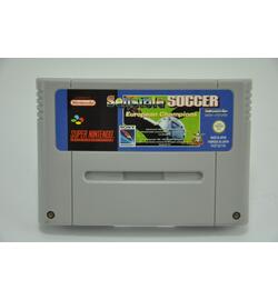 Sensible Soccer: European Champions FAH
