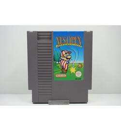 NES Open Tournament Golf FRA
