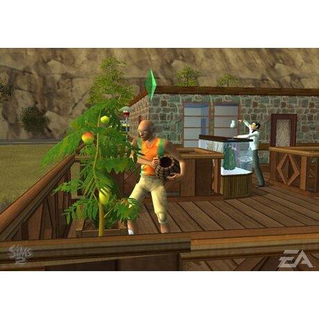 De Sims 2