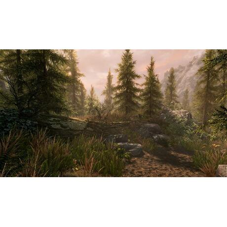 The Elder Scrolls V: Skyrim Special Edition (Remastered)